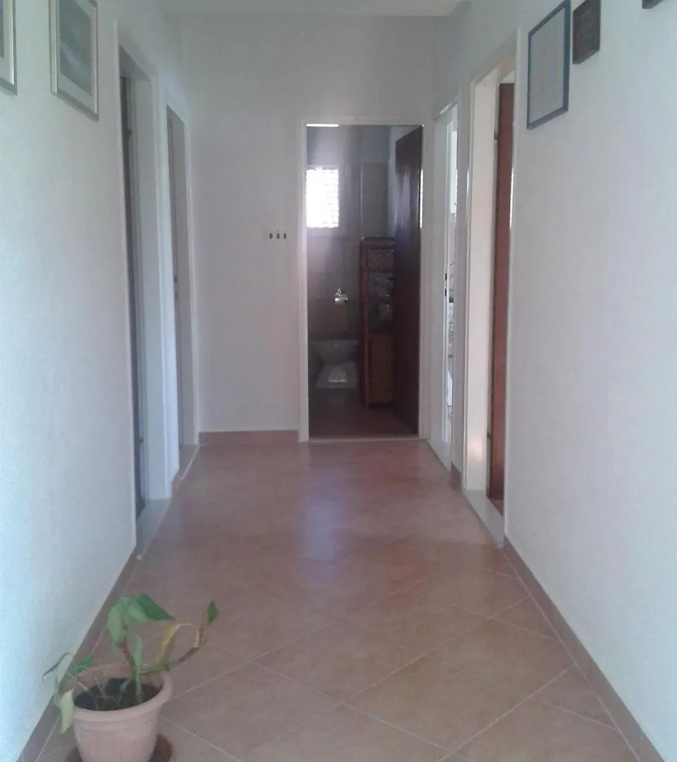 Apartments Ivo - Terrace With Sea View Veli Rat